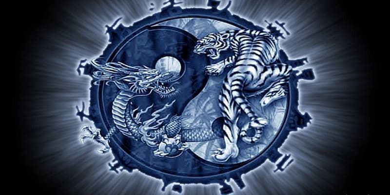 Rồng hổ GO88 hướng dẫn đặt cược