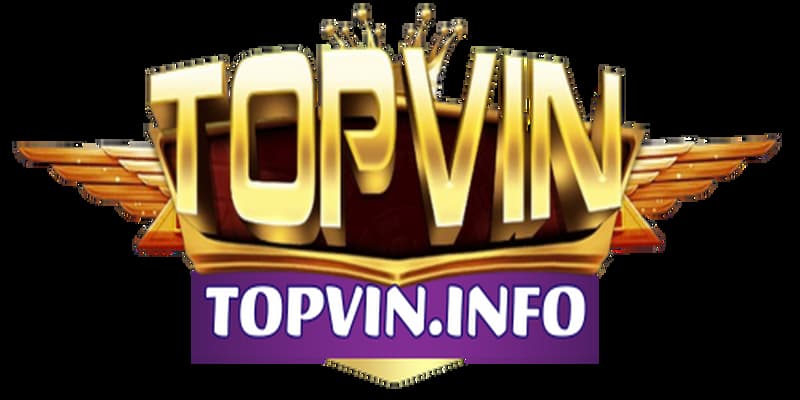 Topvin tổng quan sơ lược